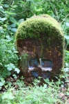 Wandertage_DahnerFelsenland_2022_3_88