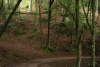Wandertage_DahnerFelsenland_2022_3_90