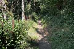 Wandertage_DahnerFelsenland_2023_1_06
