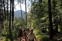 Wandertage_DahnerFelsenland_2023_1_07