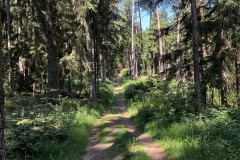 Wandertage_DahnerFelsenland_2023_1_08
