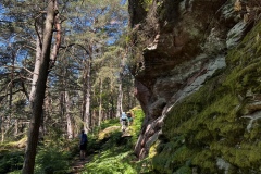 Wandertage_DahnerFelsenland_2023_1_12