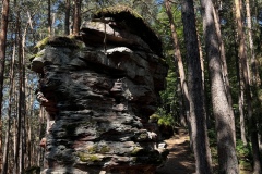 Wandertage_DahnerFelsenland_2023_1_14