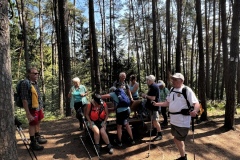 Wandertage_DahnerFelsenland_2023_1_15