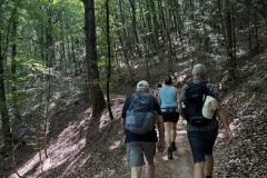 Wandertage_DahnerFelsenland_2023_1_20