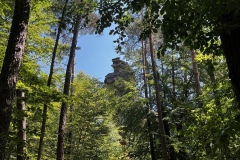 Wandertage_DahnerFelsenland_2023_1_21