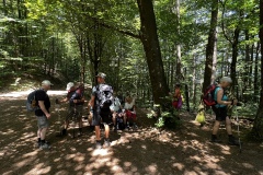 Wandertage_DahnerFelsenland_2023_1_23