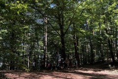 Wandertage_DahnerFelsenland_2023_1_24