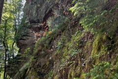Wandertage_DahnerFelsenland_2023_1_26