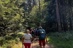 Wandertage_DahnerFelsenland_2023_1_34