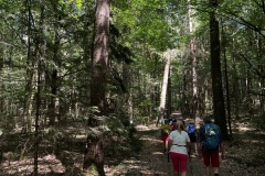 Wandertage_DahnerFelsenland_2023_1_35