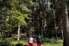 Wandertage_DahnerFelsenland_2023_1_36