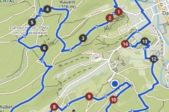 Wandertage_DahnerFelsenland_2023_2_01