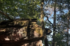 Wandertage_DahnerFelsenland_2023_2_06