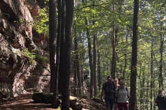 Wandertage_DahnerFelsenland_2023_2_07