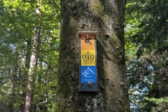 Wandertage_DahnerFelsenland_2023_2_08