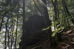 Wandertage_DahnerFelsenland_2023_2_09