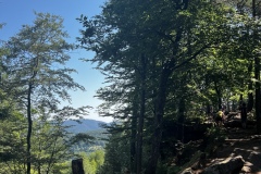 Wandertage_DahnerFelsenland_2023_2_10