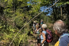 Wandertage_DahnerFelsenland_2023_2_14
