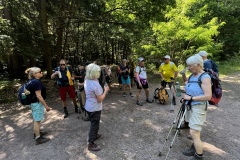 Wandertage_DahnerFelsenland_2023_2_15