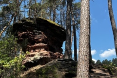 Wandertage_DahnerFelsenland_2023_2_17