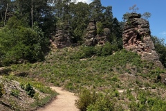 Wandertage_DahnerFelsenland_2023_2_21
