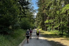 Wandertage_DahnerFelsenland_2023_2_30