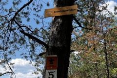 Wandertage_DahnerFelsenland_2023_2_34