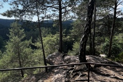 Wandertage_DahnerFelsenland_2023_2_35