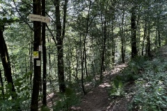 Wandertage_DahnerFelsenland_2023_3_03