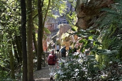 Wandertage_DahnerFelsenland_2023_3_04