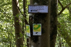 Wandertage_DahnerFelsenland_2023_3_05