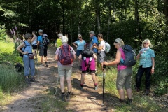 Wandertage_DahnerFelsenland_2023_3_10