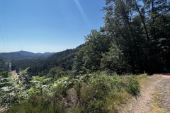 Wandertage_DahnerFelsenland_2023_3_11