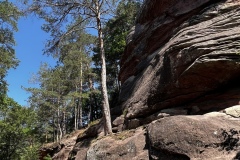 Wandertage_DahnerFelsenland_2023_3_13