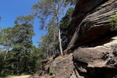 Wandertage_DahnerFelsenland_2023_3_14