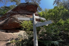 Wandertage_DahnerFelsenland_2023_3_16