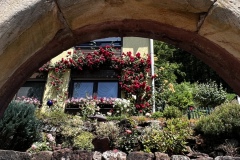 Wandertage_DahnerFelsenland_2023_3_19