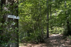 Wandertage_DahnerFelsenland_2023_3_21