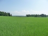 Wandertage_Eifelsteig_2018_Tag1_44