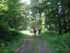 Wandertage_Eifelsteig_2018_Tag2_09