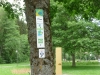 Wandertage_Eifelsteig_2018_Tag3_20