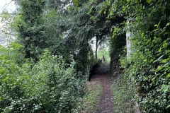 Wandertage_Mosel_2025_1_00006