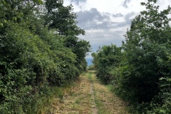 Wandertage_Mosel_2025_1_00046