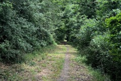 Wandertage_Mosel_2025_1_00053