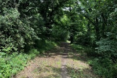 Wandertage_Mosel_2025_1_00054