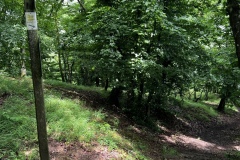 Wandertage_Mosel_2025_1_00055