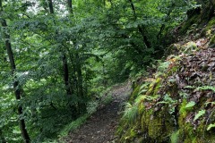 Wandertage_Mosel_2025_1_00058