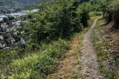 Wandertage_Mosel_2025_1_00060