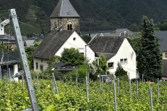 Wandertage_Mosel_2025_1_00062
